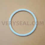 PTFE O Ring